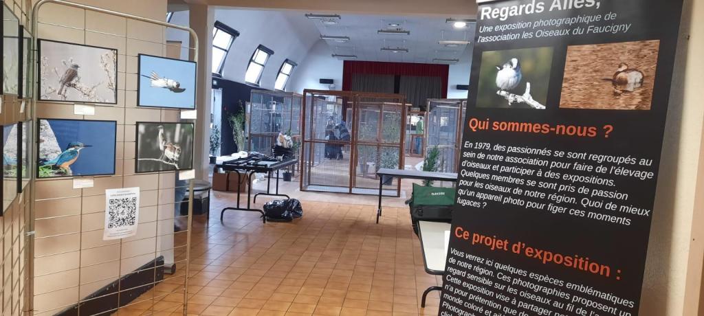 Regards Ailés, Une exposition photographique de l'association Les oiseaux du Faucigny